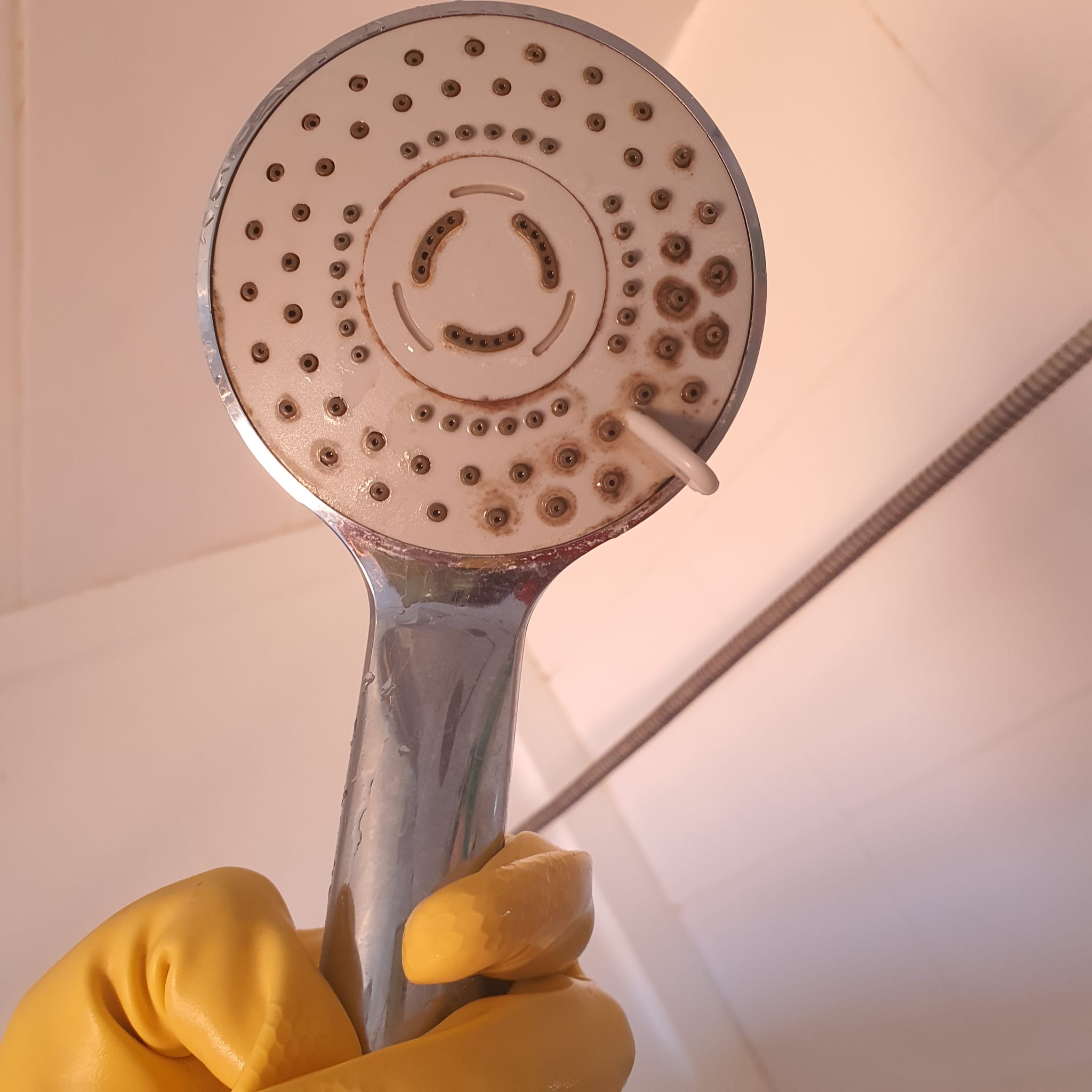 Before – Shower hose