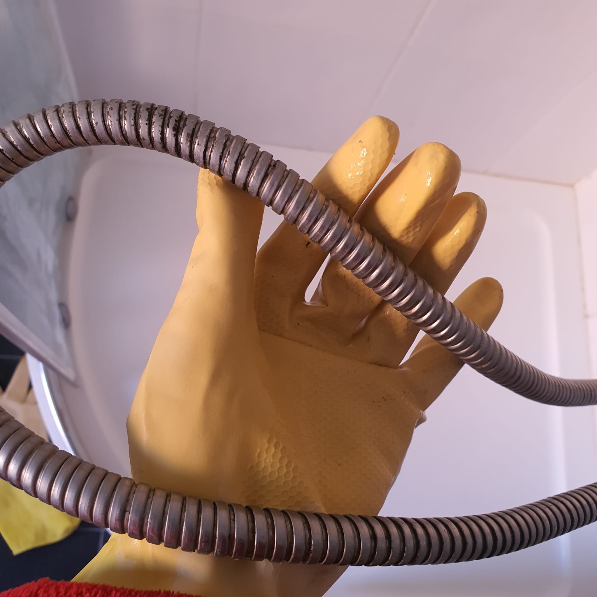 Before – Shower hose